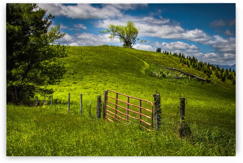 Farm Along the Blue Ridge Parkway in Spring by Norma Brandsberg Photography