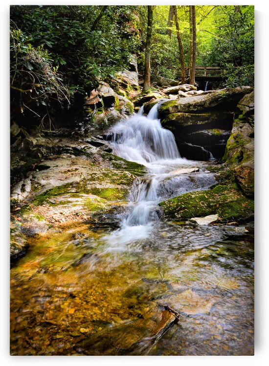 Blue Ridge Duggers Knob Waterfall by Norma Brandsberg Photography