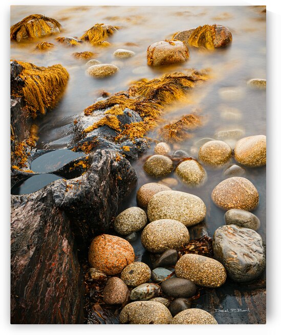 Dragons Eggs r45 by Daniel Baril