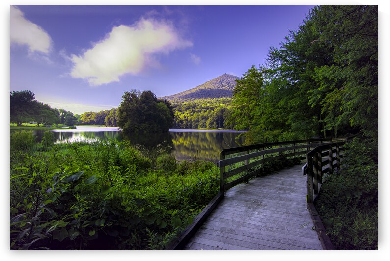 Blue Ridge Parkway Sunrise by Norma Brandsberg Photography