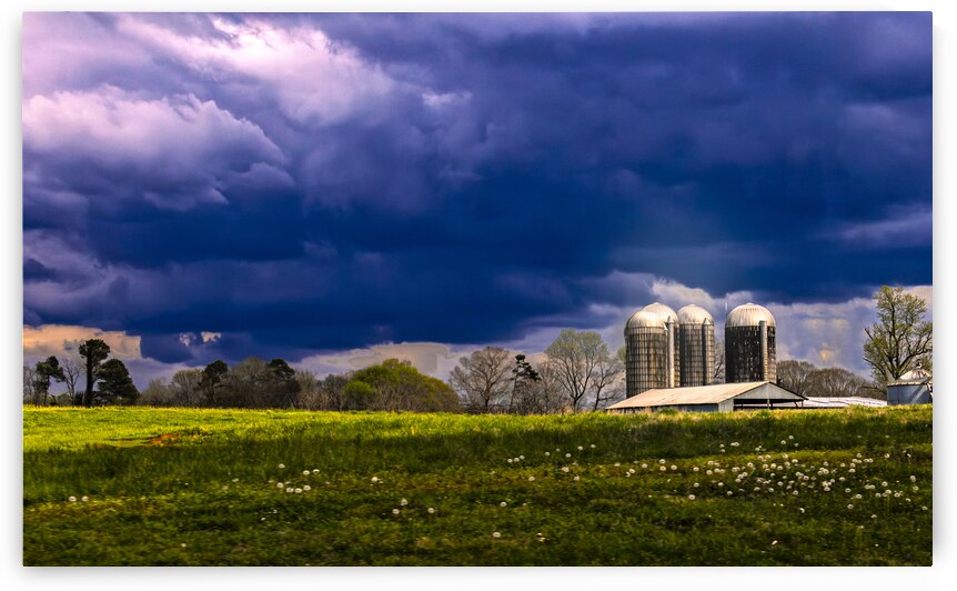 North Carolina Farm Storm by Norma Brandsberg Photography