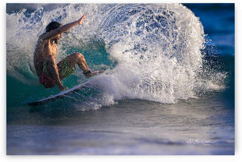 BZ9 0450 Enhanced NR 2 by Susan Lynn Cooke