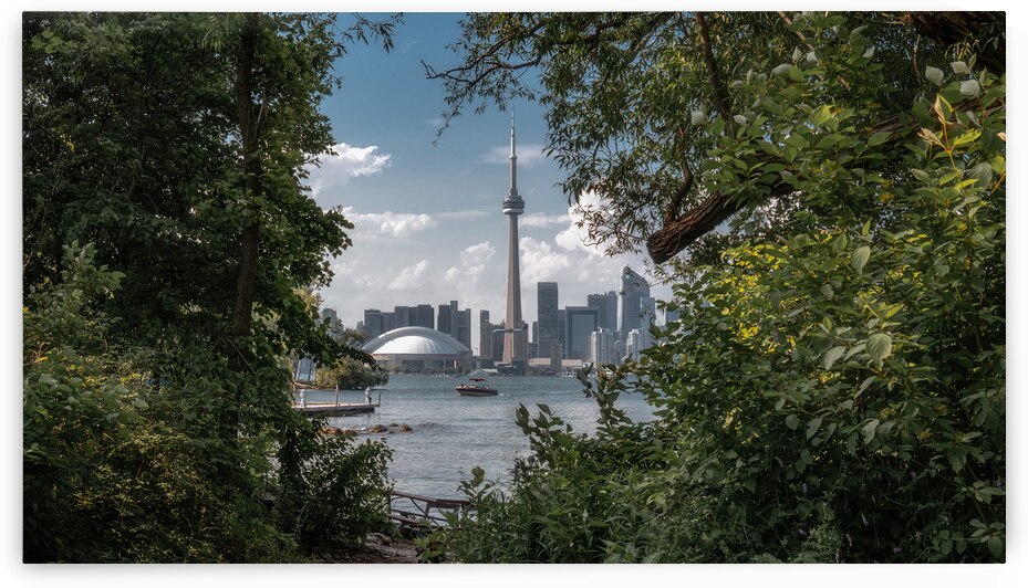 Urban Nature | Toronto Cityscape Through Green Foliage by Dutch Photographer