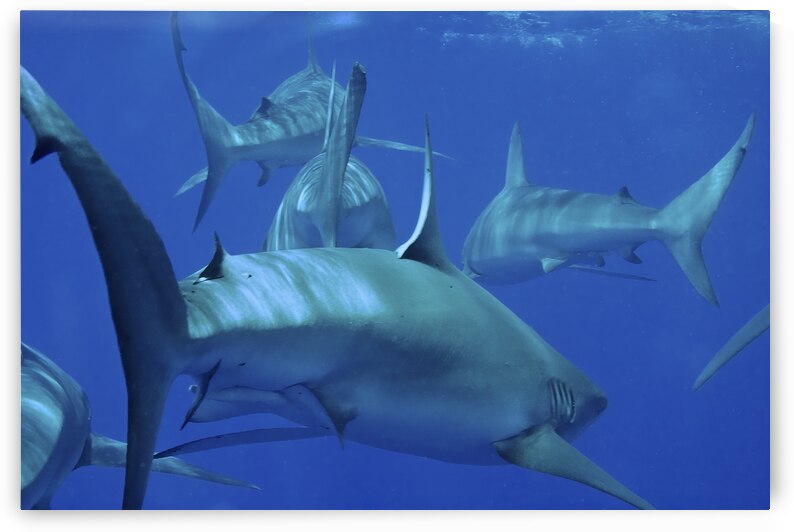 Departing by DeepEarth Photography