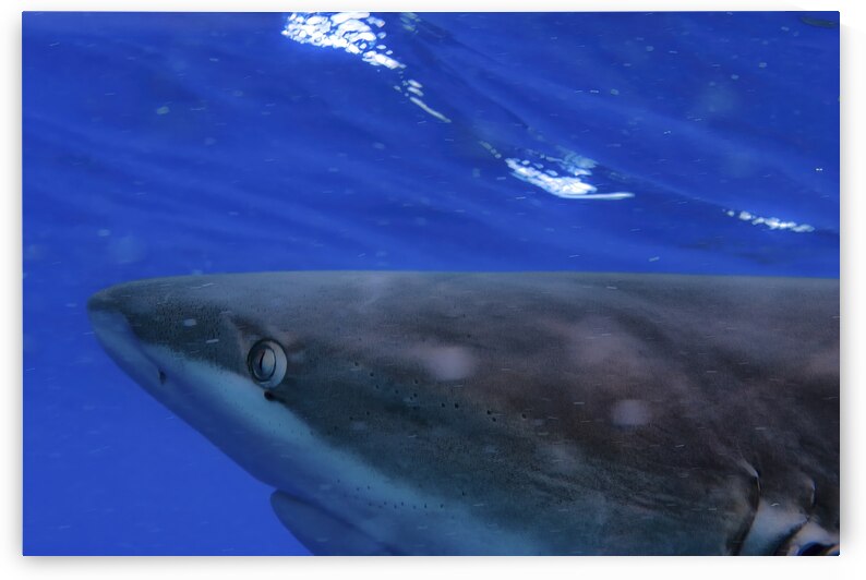 Raw by DeepEarth Photography