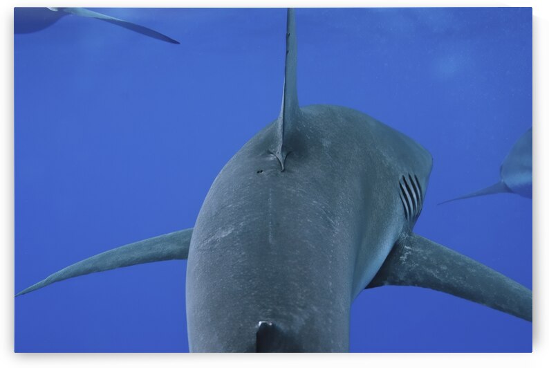 Follow by DeepEarth Photography