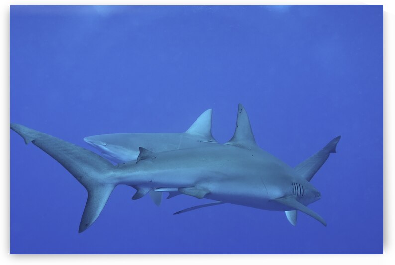 Bypass by DeepEarth Photography