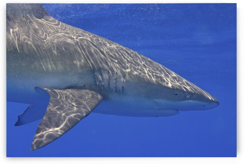 Circle by DeepEarth Photography