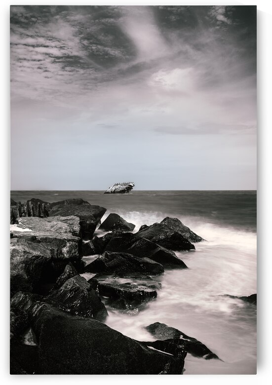 Wreck of the SS Atlantus Black and White Vertical by Jason Fink