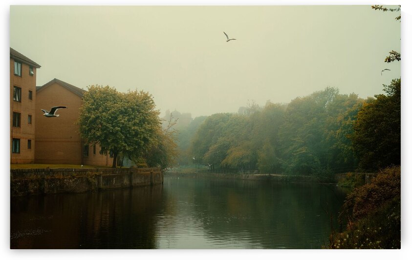 river trees park  by Abdelwahab Khalil
