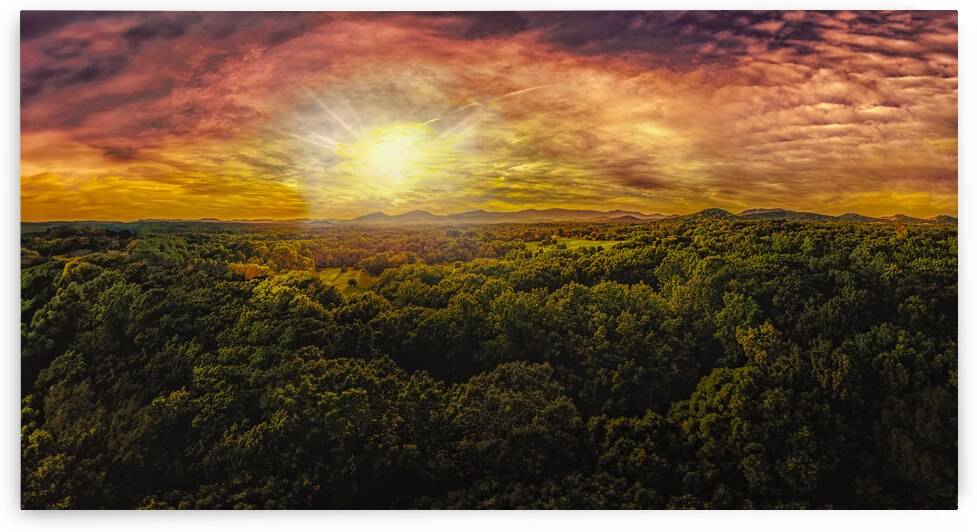 Flying Above the Treetops by Norma Brandsberg Photography