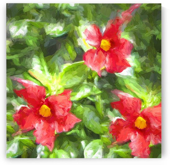 Red Mandevilla Flower Vine X 3 by Rich Franco