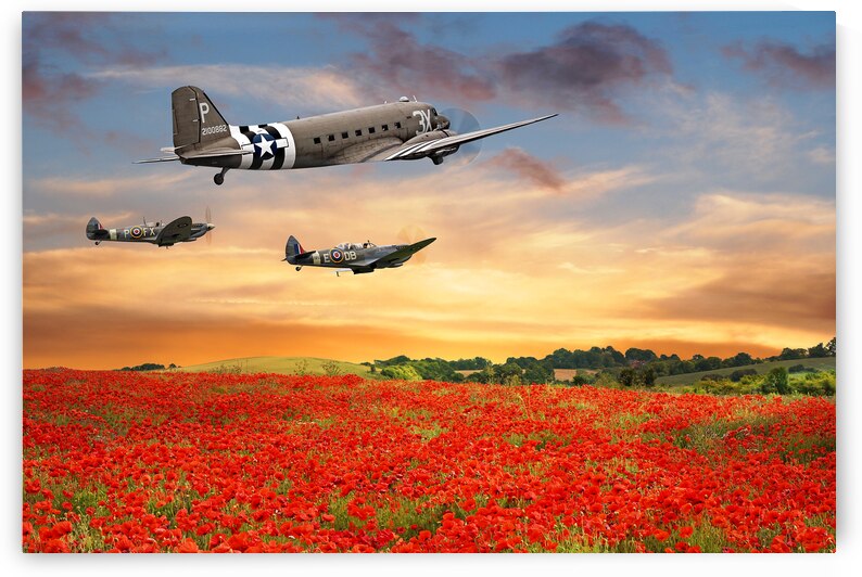 Dakota and Spitfires over Poppy Field by Gill Billington
