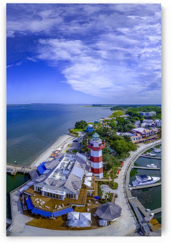 Aerial Hilton Head Lighthouse Vertical by Norma Brandsberg Photography