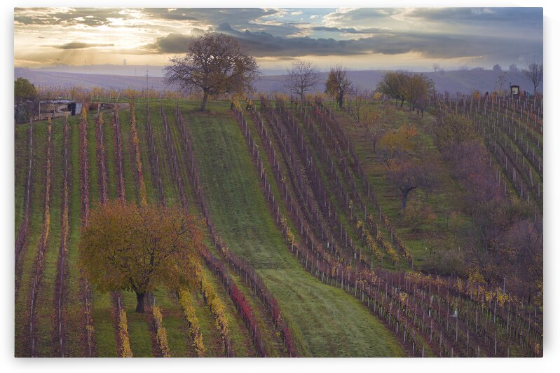Sunset in South Moravia by Images By Jon Evan