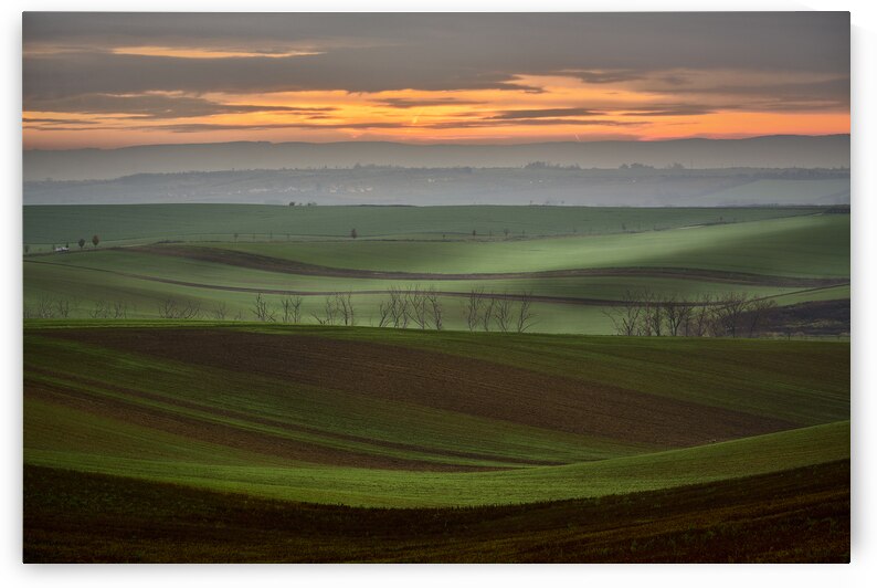 Wine Country by Images By Jon Evan