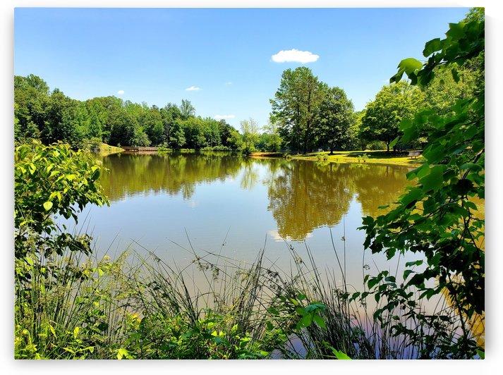 Lake Side Views by The NC Geek