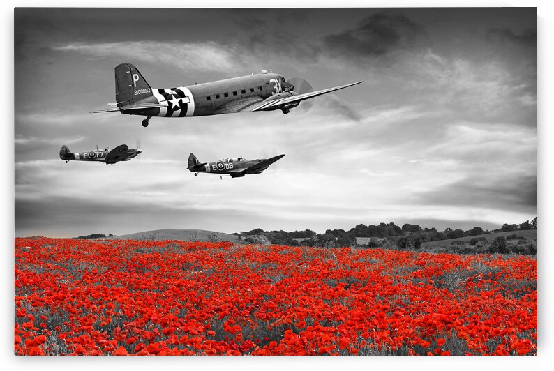 Dakota and Spitfires in BW Over Poppy Field by Gill Billington