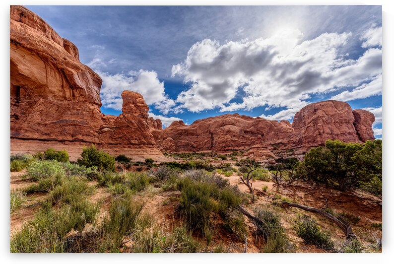 Cove of Caves Arches National Park by Jennifer White