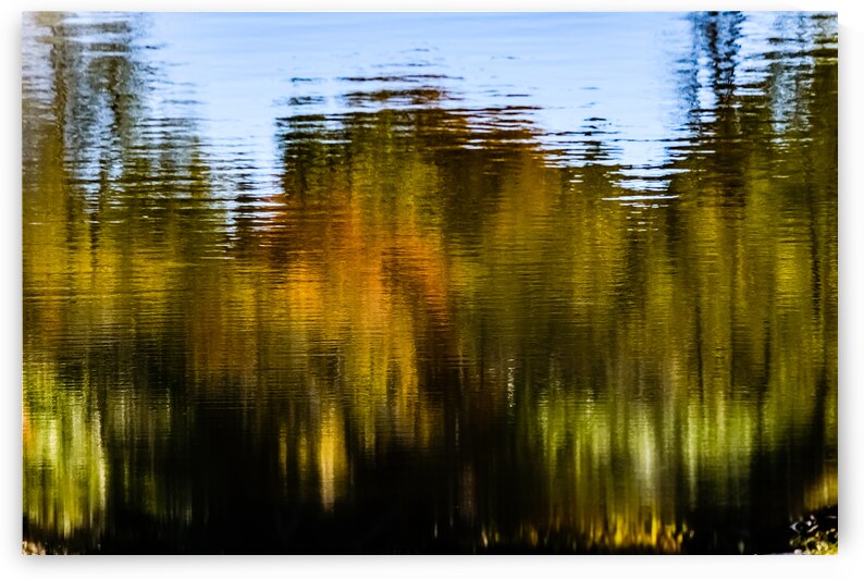 Preamble by Reflective Photography