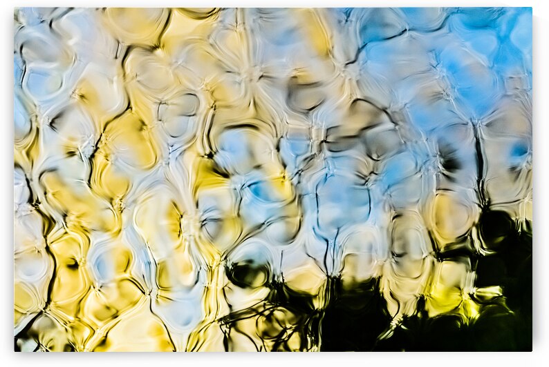 Yellow Pansies by Reflective Photography