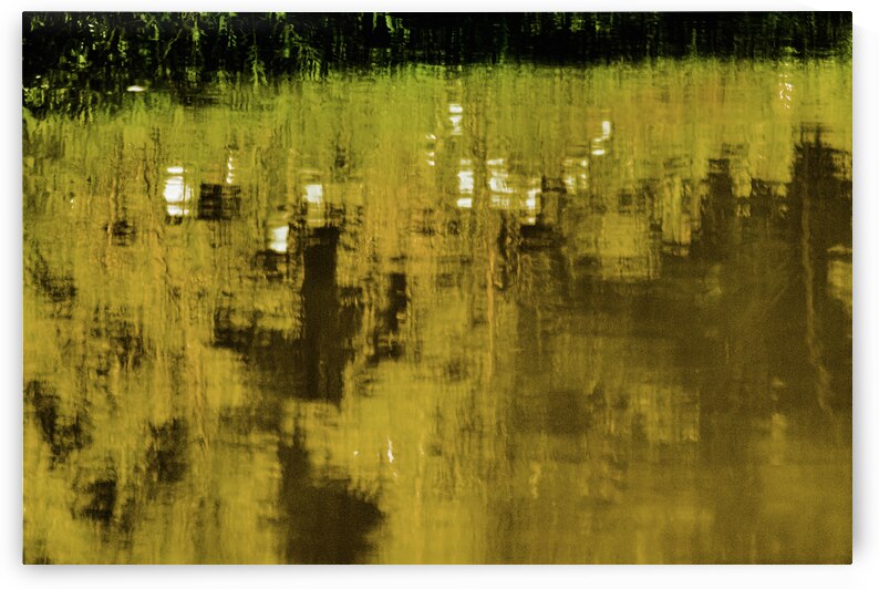 River Hibiscus by Reflective Photography