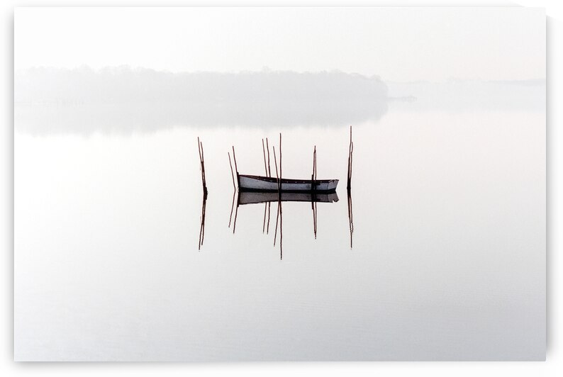 Solitude by Reflective Photography