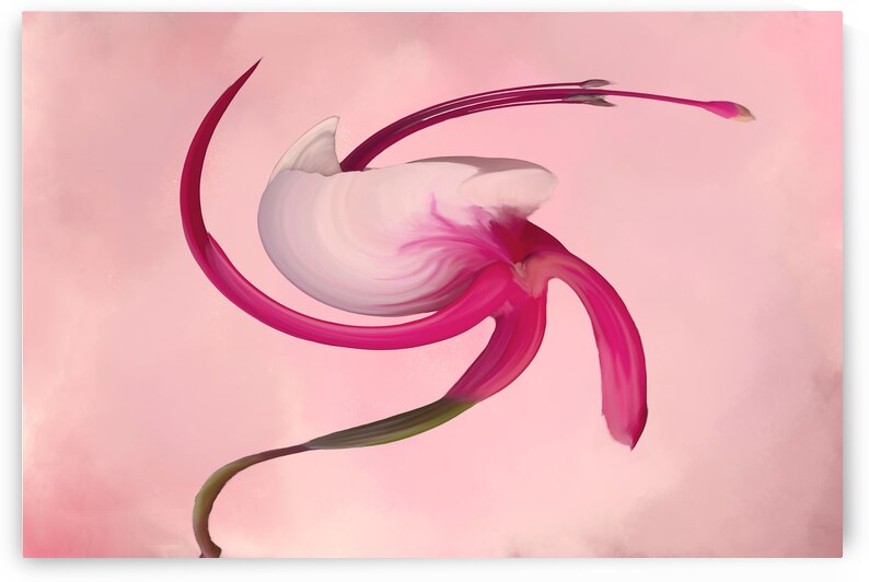 Swirl by Pat Campbell