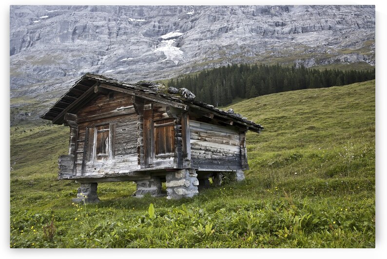 Legs by DeepEarth Photography