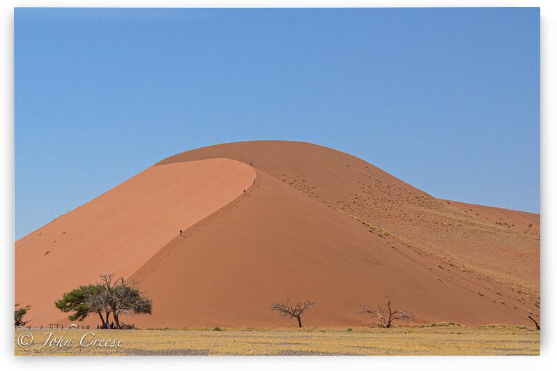 Dune 45 by JohnCreesePhotography