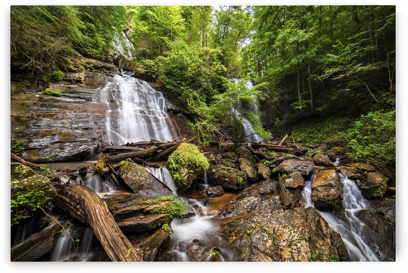 Anna Ruby Falls by Andy Crawford