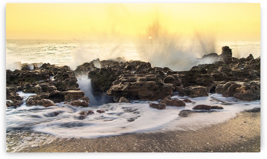 Morning at Coral Cove by Andy Crawford