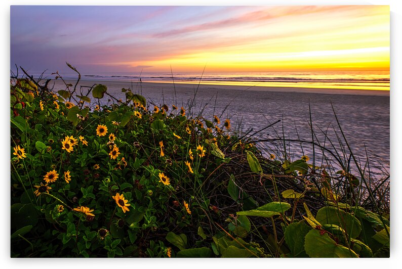 Spring at Matanzas National Monument by Andy Crawford