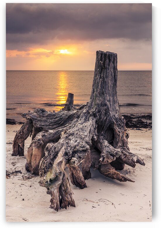 Sunrise over Mashes Sands Stump by Andy Crawford