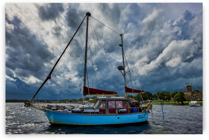Storm over Palatka by Andy Crawford