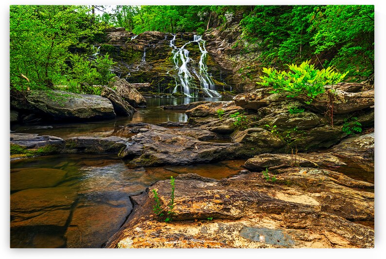 Salt Creek Falls by Andy Crawford