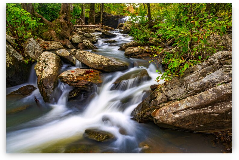 Falling Water Creek by Andy Crawford