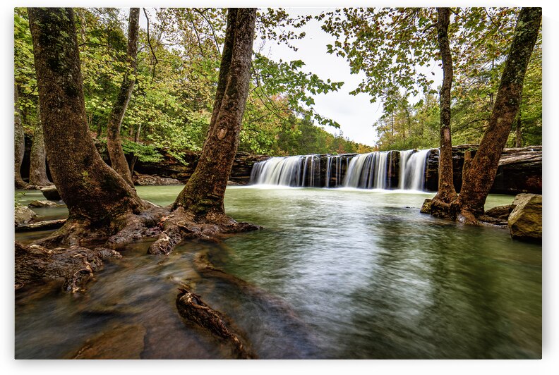 Falling Water Falls by Andy Crawford