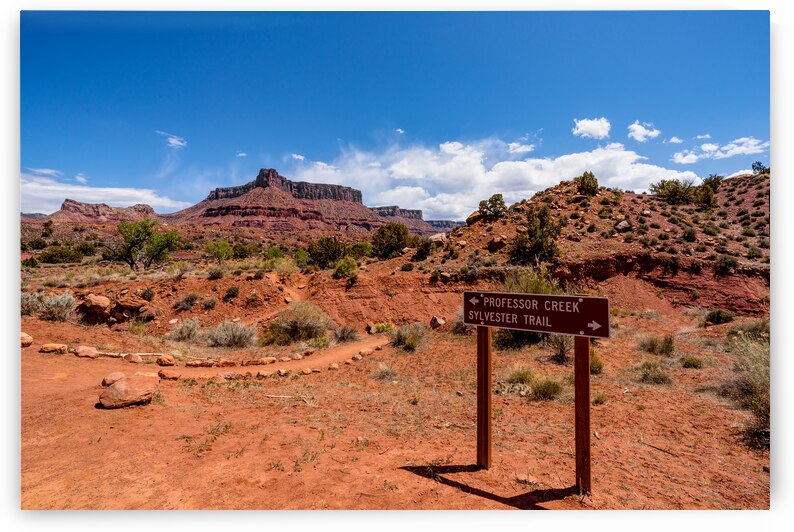 Professor Creek Sign Utah by Jennifer White