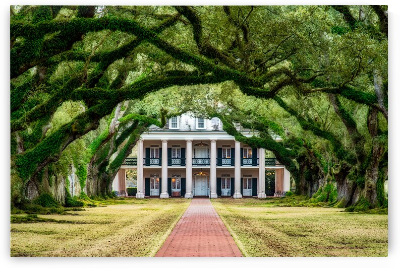 Oak Alley Plantation by Andy Crawford