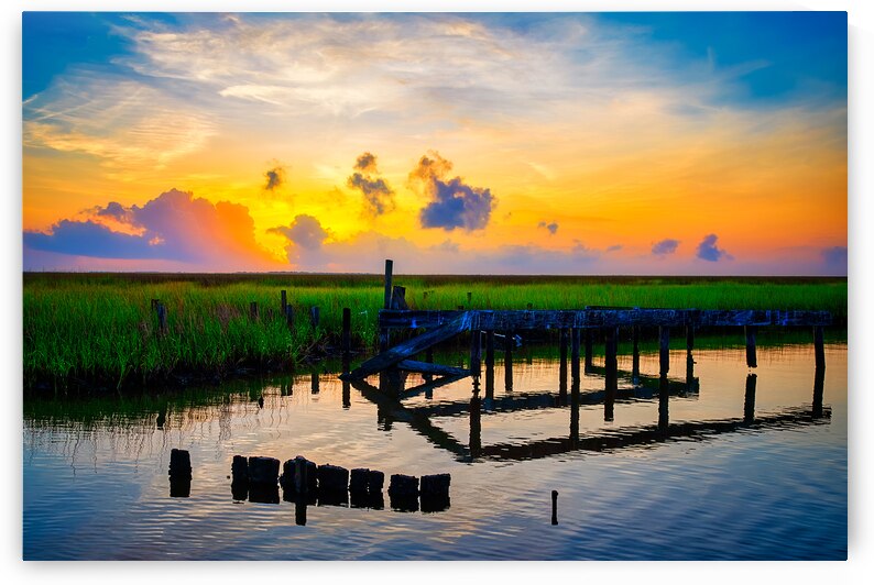 Marsh Sunrise by Andy Crawford
