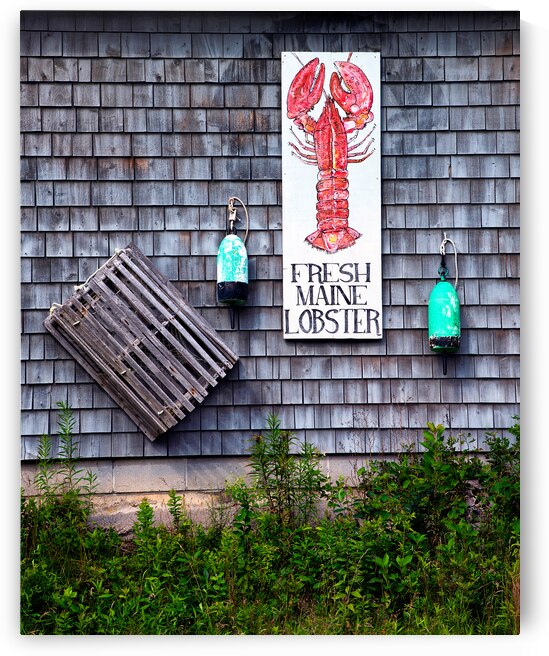 Fresh Maine Lobster by Andy Crawford