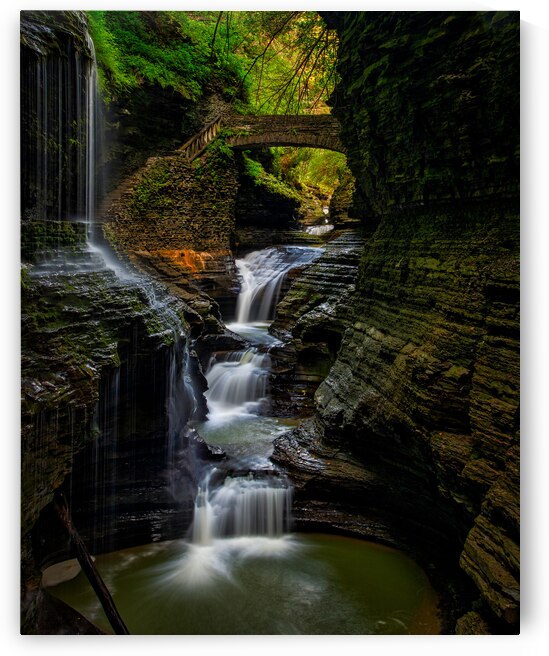 Watkins Glen Gorge by Andy Crawford