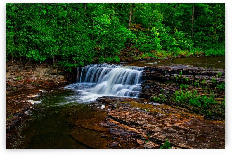 Woods Falls Serenity by Andy Crawford
