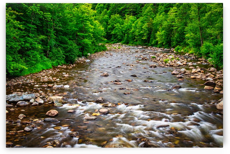 Morning on the Saranac River by Andy Crawford