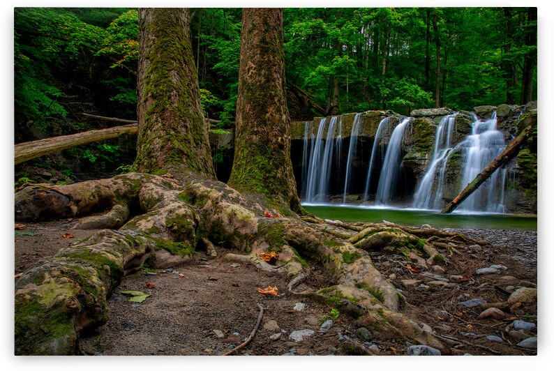 Great Gully waterfall by Andy Crawford