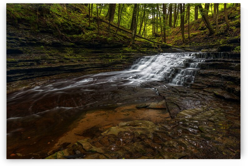 Upper St. Marys Fall by Andy Crawford