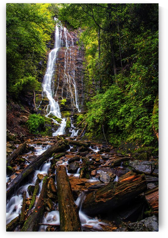 Mingo Falls by Andy Crawford