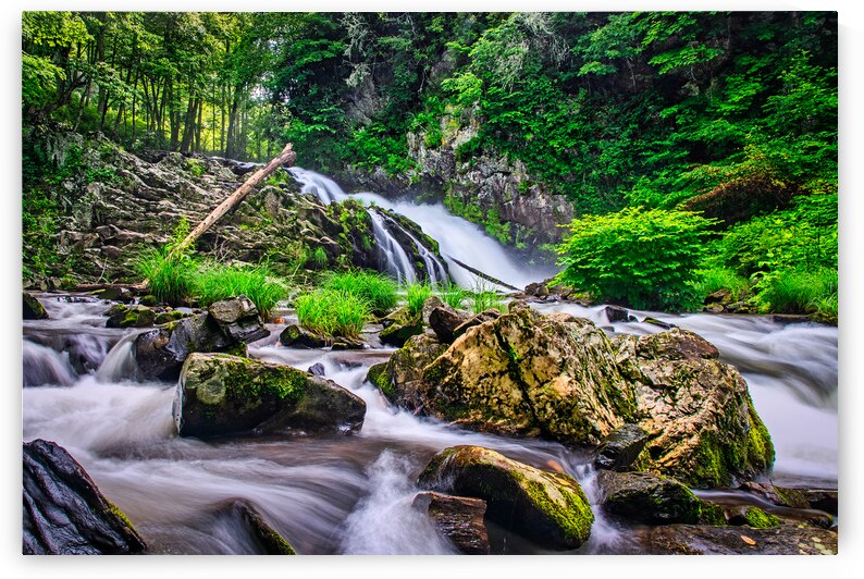 Whiteoak Creek Waterfall by Andy Crawford