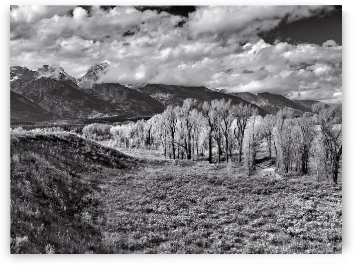Teton Mountain  Valley View in Black and White by Norma Brandsberg Photography
